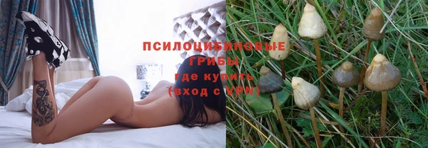 таблы Козловка